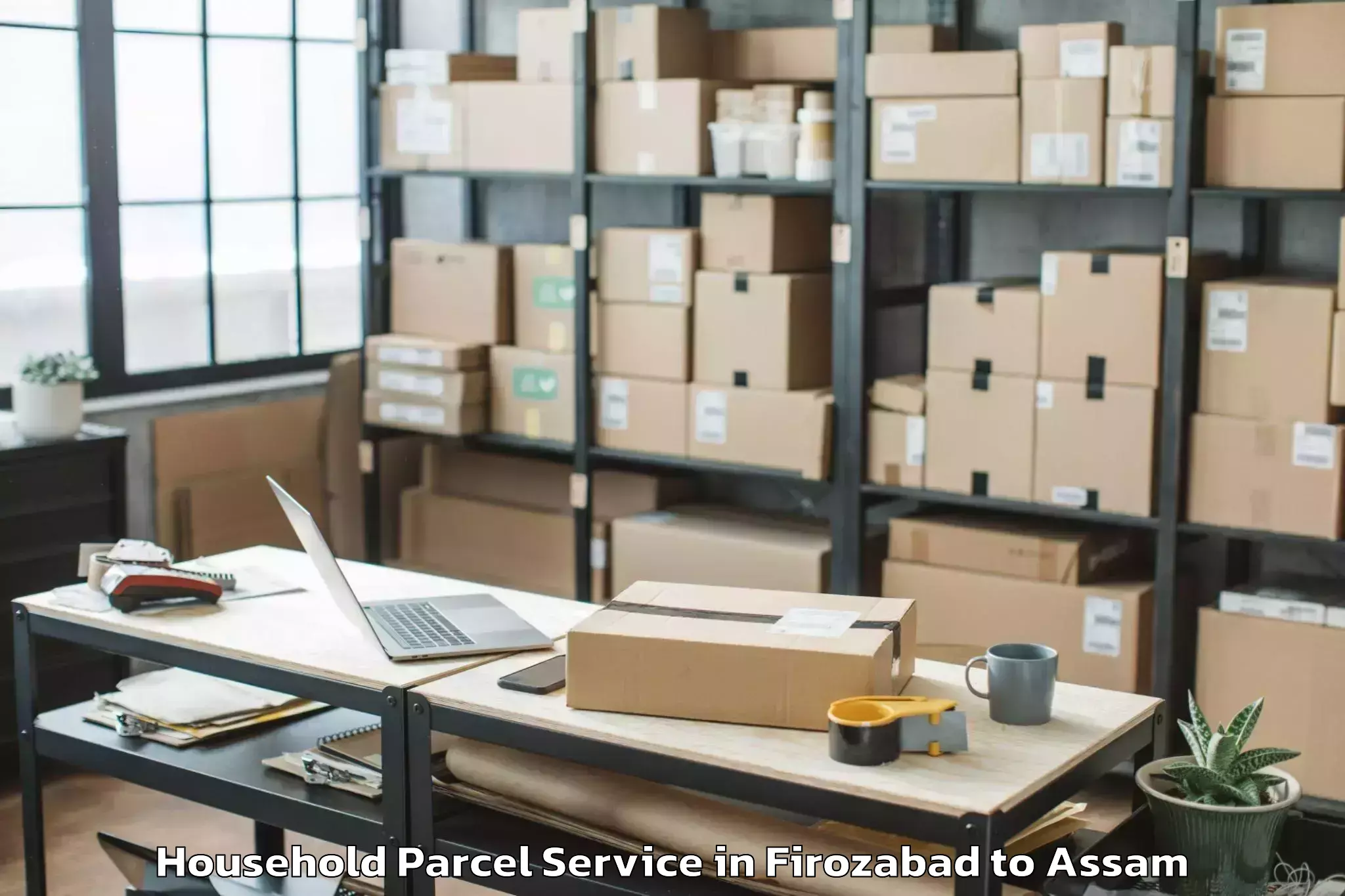 Firozabad to Silapathar Household Parcel Booking